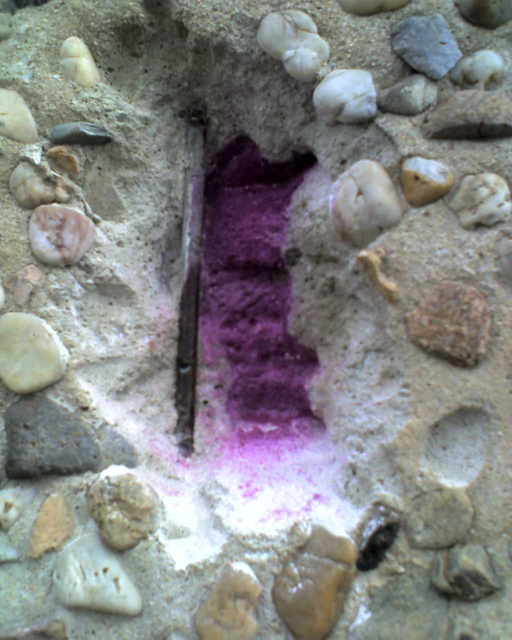 In-situ carbonation depth test on concrete structure with 1% phenolphthalein solution showing magenta alkaline boundary and rebar
